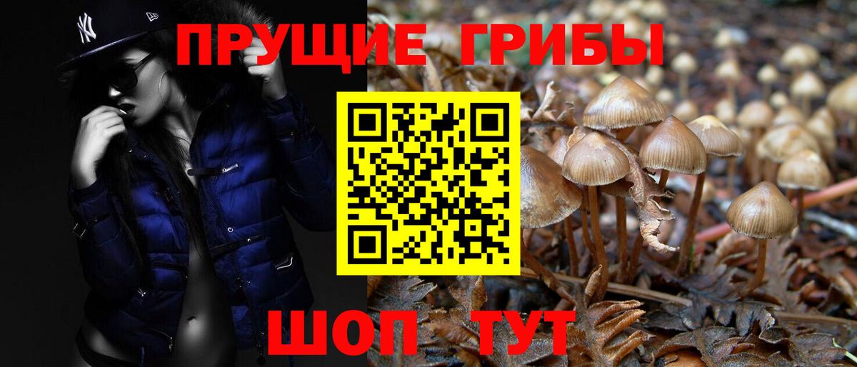Галлюциногенные грибы прущие грибы Керчь